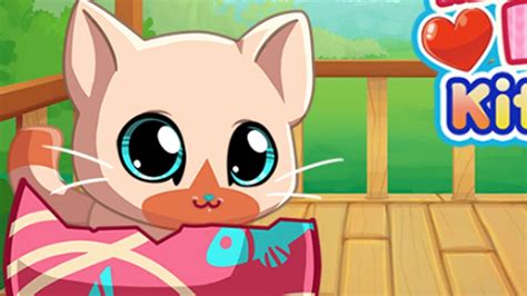 kittycait|kitty cats game.